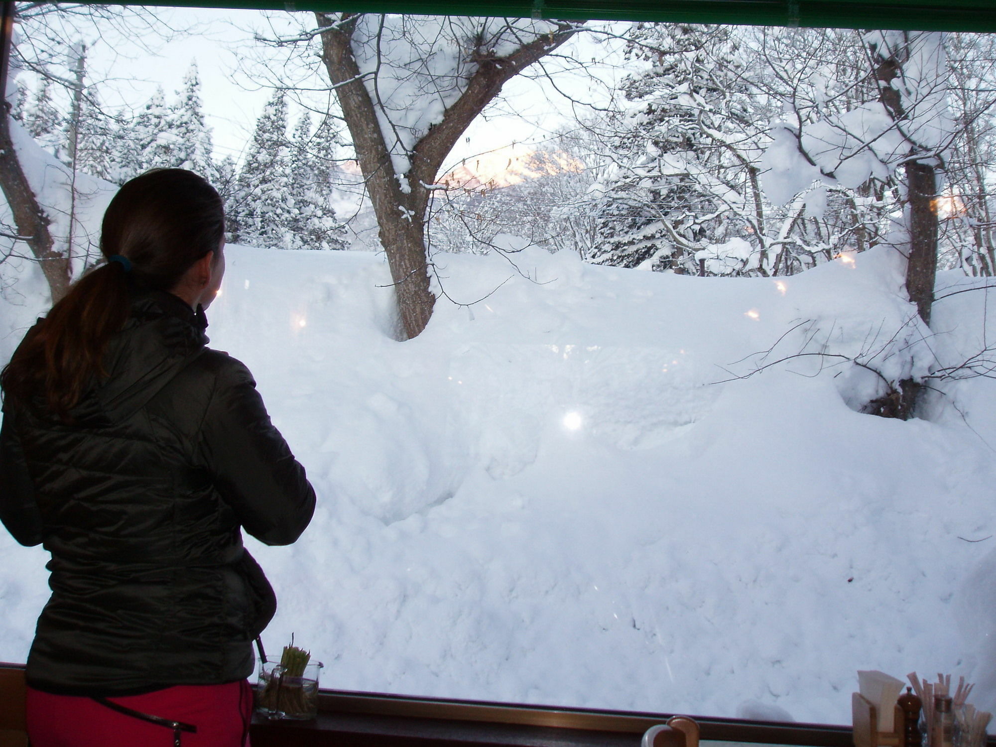 Country Inn Canadian House Myoko Exterior foto