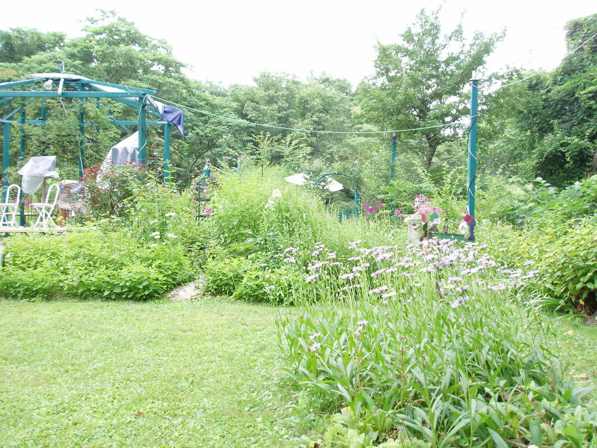 Country Inn Canadian House Myoko Exterior foto